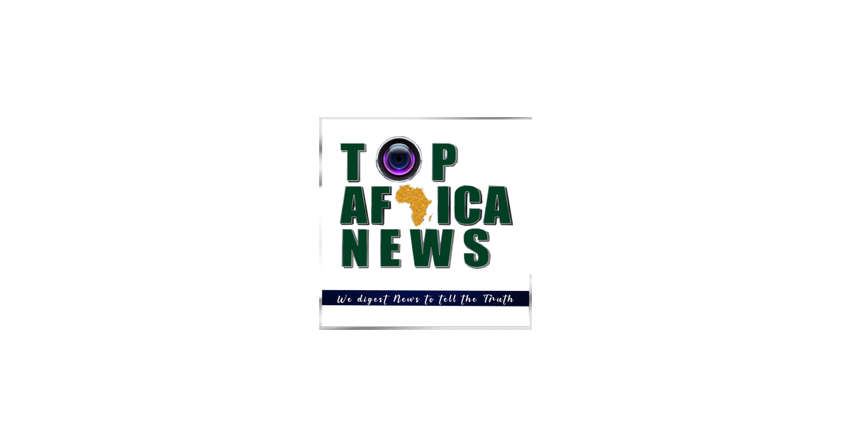 Top Africa News logo